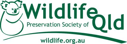 Wildlife Queensland